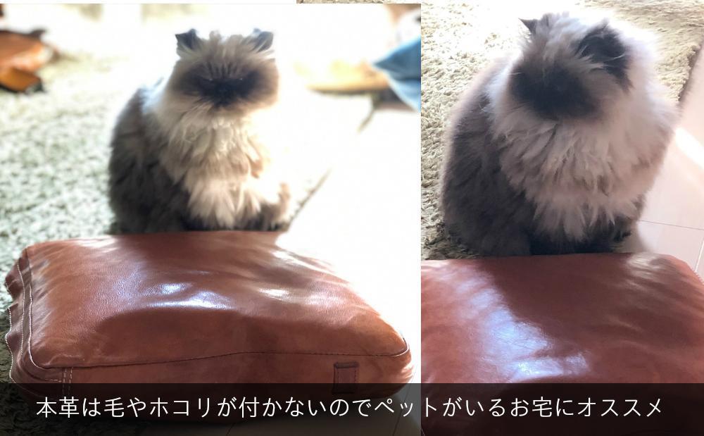 エイジングを楽しむ上質レザークッション【チョコ】 博多革工房 Japlish | ジャプリッシュ