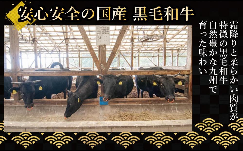 極味や博多ハンバーグ2個入りタレセット