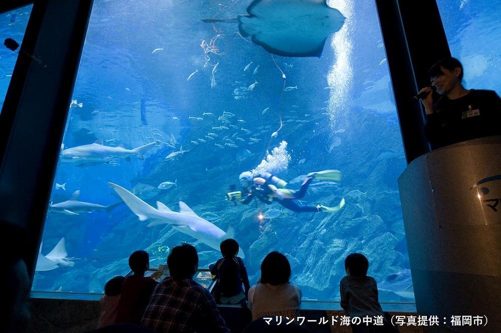 【福岡市】JTBふるさと旅行券（紙券）90,000円分