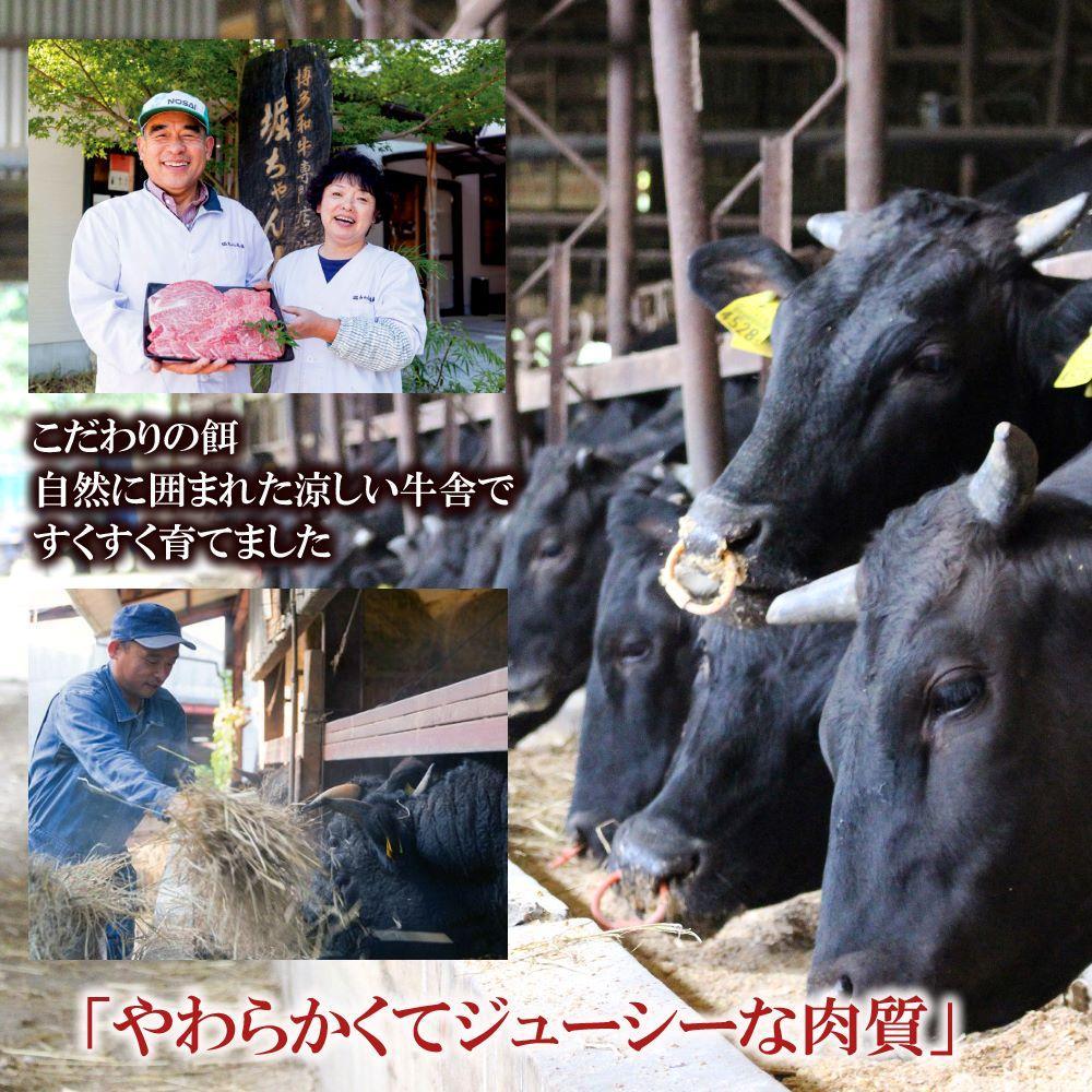 福岡県産 黒毛和牛A4ランク以上の博多和牛！ 焼肉・特選スライスセット