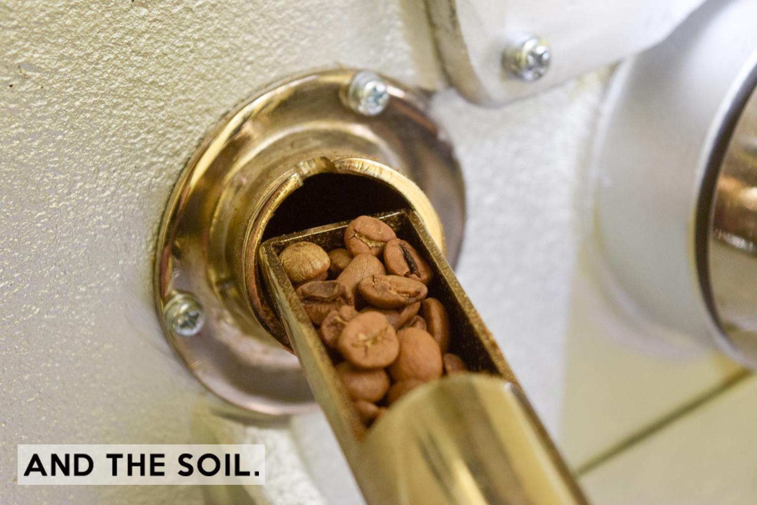 【福岡高砂】AND THE SOIL.オリジナル焙煎オーガニックコーヒー豆GUA　深煎り100g中煎り100g(合計200g)