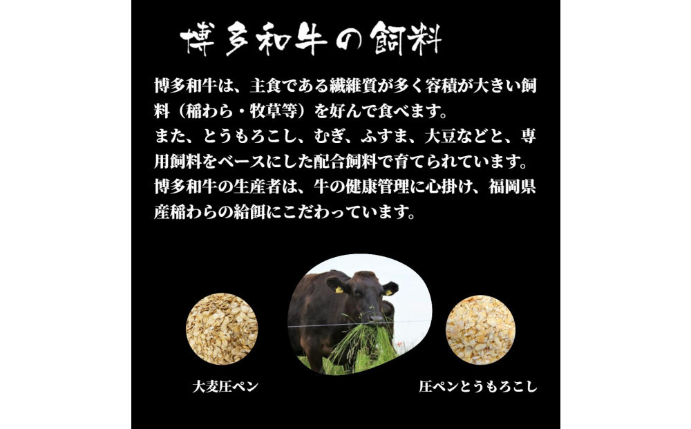 博多和牛シャトーブリアン　480g　