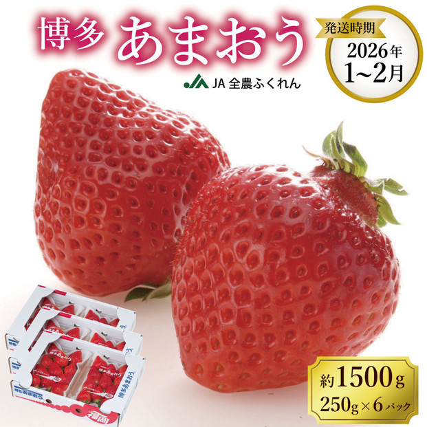 ＜2026年1月～2月発送＞博多あまおう約250ｇ×６