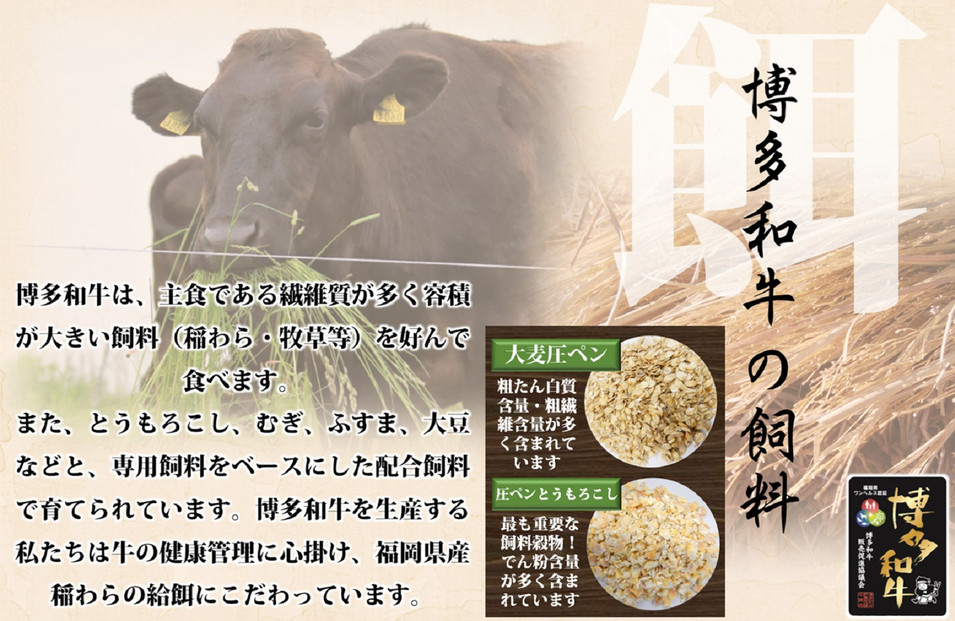 博多和牛 モモスライス400g【福岡市】