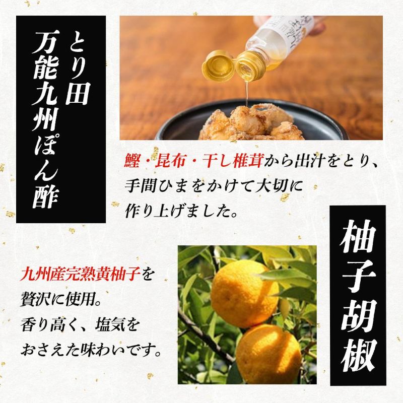【定期便】水炊き とり田 水たき セット 4人前 全6回 | ふる