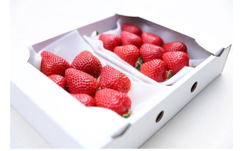 朝どり完熟あまおう2P　福岡市志賀島産