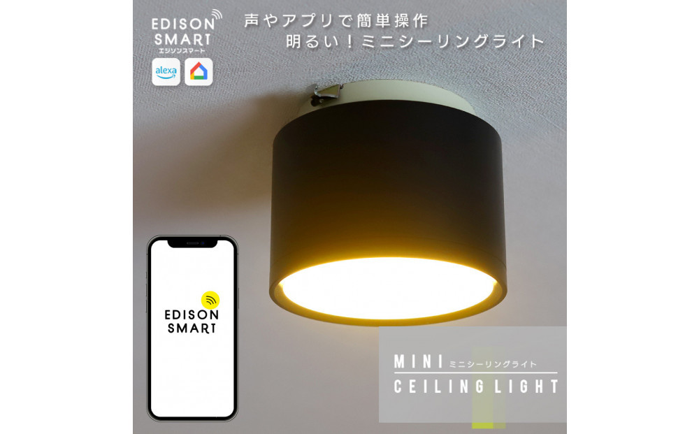 エジソンスマートミニシーリングライト 引掛けシーリング用 【ブラック】 福岡市