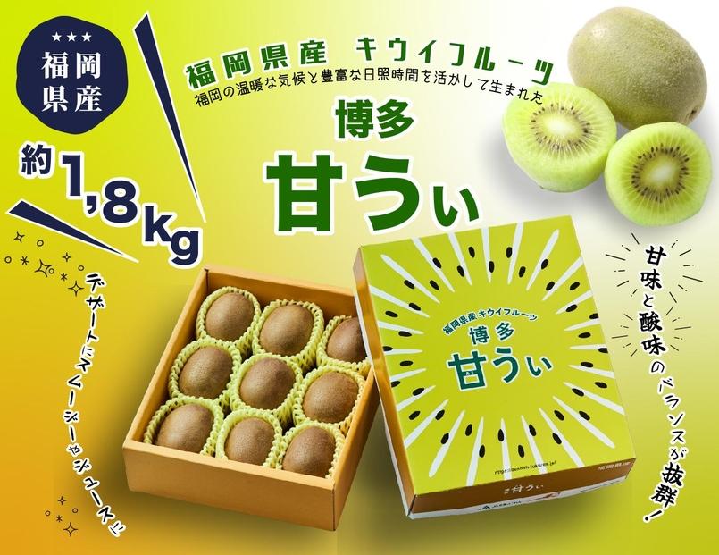 ＜2026年発送分・先行予約＞博多「甘うい」の贅沢果実 約1.8kg