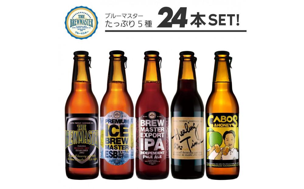 福岡市発クラフトビール　 5種バラエティーセット　330ml×24本