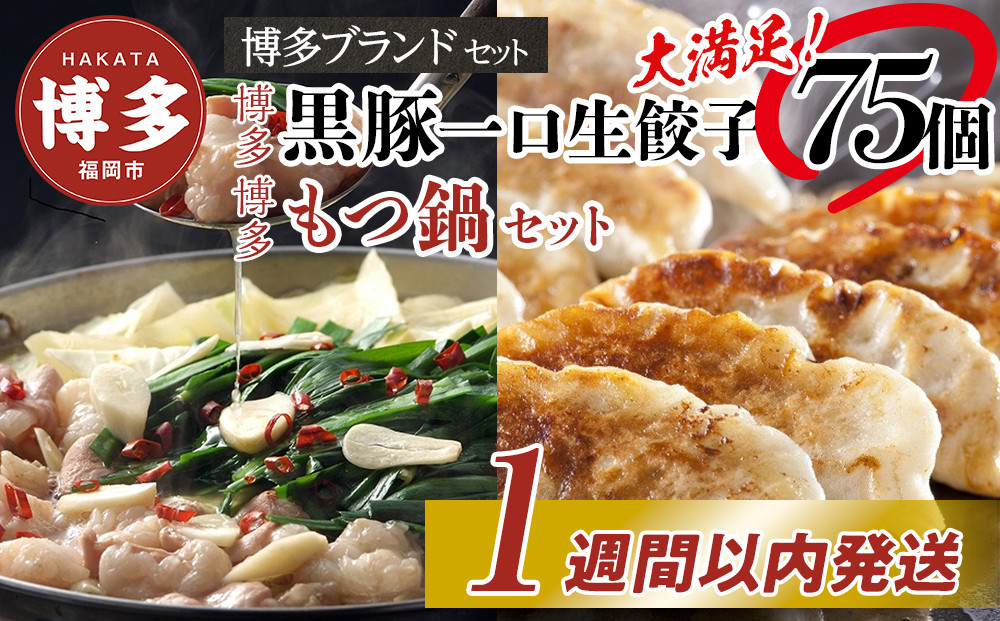 博多ブランドセット　博多黒豚一口生餃子75個（25個×3パック）と博多もつ鍋2.5人前セット 少人数様向け【1週間以内に発送！】