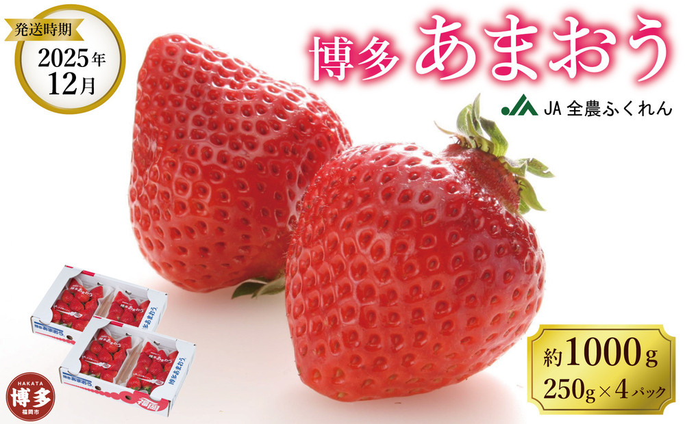 【数量限定】＜2025年12月発送＞博多あまおう約250ｇ×４