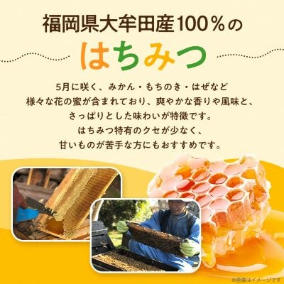 坂井養蜂場　昔ながらの蜂蜜　300g　2本組