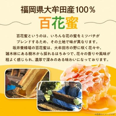 坂井養蜂場　みつばちの雫　1000g