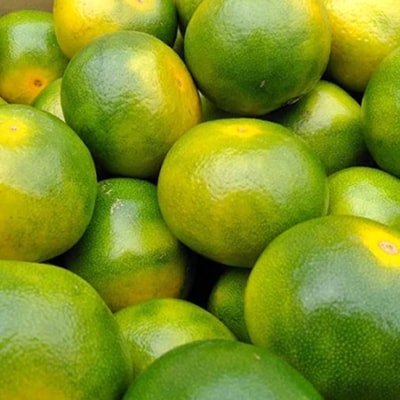 福岡オリジナルブランド　蜜柑 早味かん　2kg(大牟田市)【配送不可地域：離島】