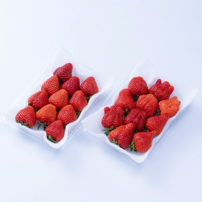 【2026年発送先行受付】酸味と甘みの絶妙なバランス・春あまおう4パック(大牟田市)【配送不可地域：離島・北海道・沖縄県】