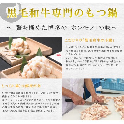 黒毛和牛専門　もつ鍋こうづき　もつ鍋セット　醤油味　2～3人前(大牟田市)【配送不可地域：離島】