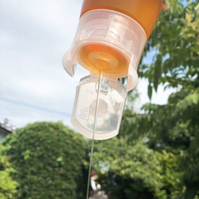 みつばちの雫　300g×2個セット　国産蜂蜜