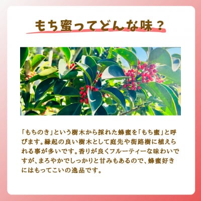 みつばちの雫　国産もち蜂蜜　2000g