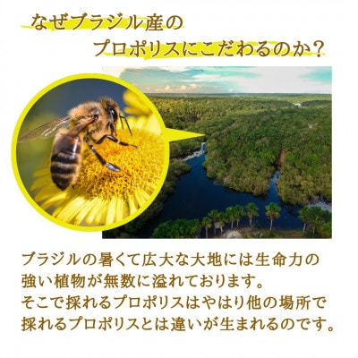 プロポリスエキス　12cc