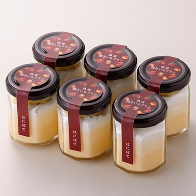 熟成焼きいもプリン(6個)【配送不可地域：離島】