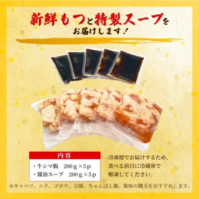 訳あり!博多醤油もつ鍋　10人前(2人前×5セット)(大牟田市)【配送不可地域：離島】