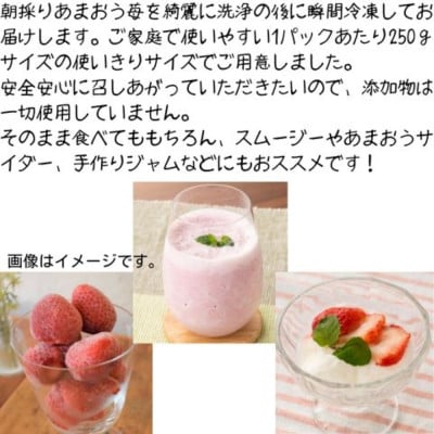 福岡県産 冷凍あまおう 500g(250g×2個)(大牟田市)【配送不可地域：離島】