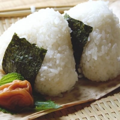 福岡有明のり　訳あり!　焼き海苔　20g×2袋【全形換算約14枚相当】(大牟田市)