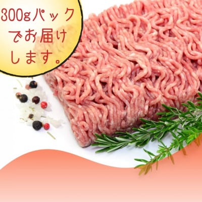 博多和牛100%ミンチ(挽肉)【訳あり】600g(300g×2個)(大牟田市)【配送不可地域：離島】
