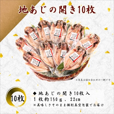 【無添加・天日干し・手造り】地あじひらき10枚セット【配送不可地域：離島】