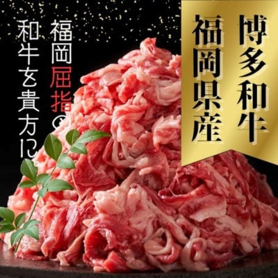 【訳あり】【A4～A5ランク】博多和牛 切り落とし 500g(250g×2)(大牟田市)【配送不可地域：離島】