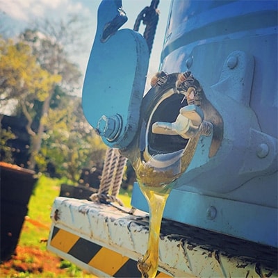 坂井養蜂場　昔ながらの蜂蜜　550g　2本組