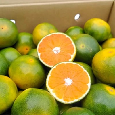 福岡オリジナルブランド　蜜柑 早味かん　2kg(大牟田市)【配送不可地域：離島】