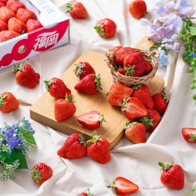 【2026年発送先行受付】酸味と甘みの絶妙なバランス・春あまおう6パック(大牟田市)【配送不可地域：離島・北海道・沖縄県】