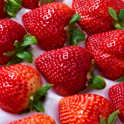 【11月下旬より順次発送】苺本来の酸味と甘み!贈答用あまおう 12-15粒(大牟田市)【配送不可地域：離島・北海道・沖縄県】