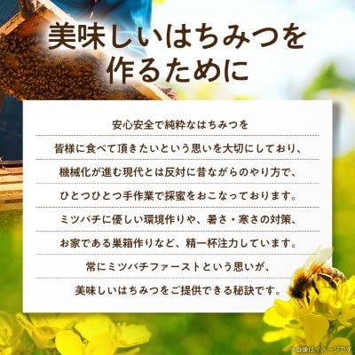 坂井養蜂場　みつばちの雫　500g+300g(合計800g)国産蜂蜜