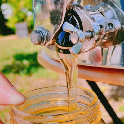 みつばちの雫　国産百花蜜　500g