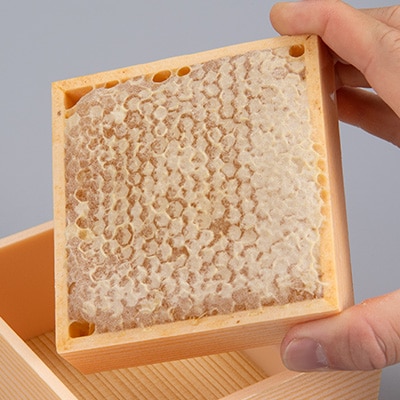 国産巣蜜(コムハニー)10個セット