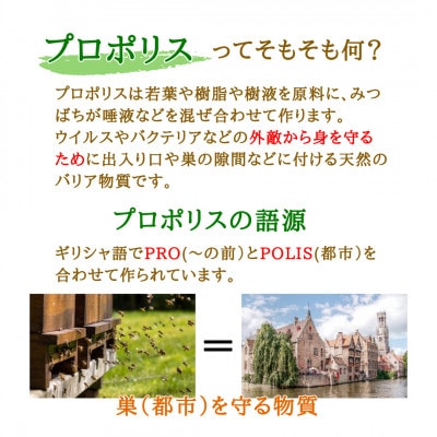 プロポリスエキス　35cc
