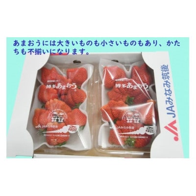 【期間限定】あまおうDX(デラックス)4パック(大牟田市)【配送不可地域：離島・北海道・沖縄県・東北】