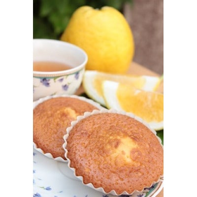 大牟田ふるさとお菓子ギフト