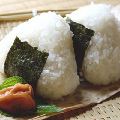 【のし付き】初摘み限定 福岡有明のり 味付海苔 6切5枚×24P(大牟田市)