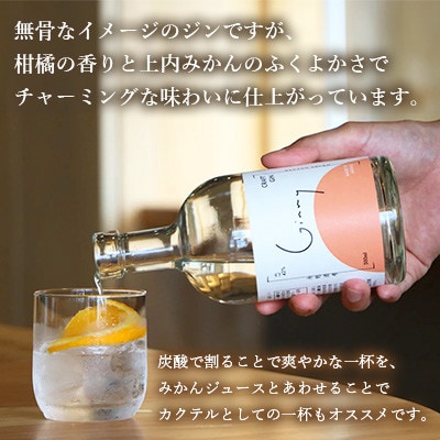 オリジナルクラフトジン Ginny(ジニー) 永野酒店