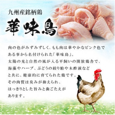 博多華味鳥 水たき・もつ鍋(醤油味)セット 各3～4人前(大牟田市)【配送不可地域：離島】