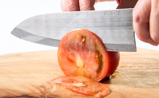 【刀匠四郎國光一門】《刀鍛冶が造る本格包丁》鋼入りステンレス菜切り包丁柳刃(両刃)【配送不可地域：沖縄県】