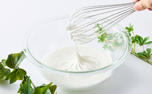 オーム乳業 九州マスカルポーネと純生クリーム(九州マスカルポーネ500g/純生クリーム200mL)【配送不可地域：離島】