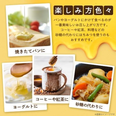 坂井養蜂場　みつばちの雫　1000g