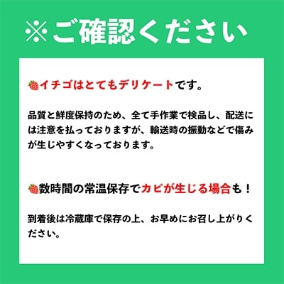 【11月下旬より順次発送】福岡産あまおう＆ふくや味の明太子100g(大牟田市)【配送不可地域：離島・北海道・沖縄県】