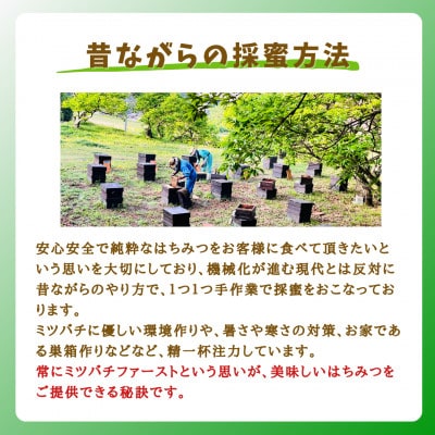 みつばちの雫　国産もち蜂蜜　1000g