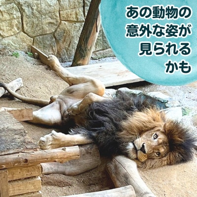 あなたの好きなところで、動物園をひとりじめ!