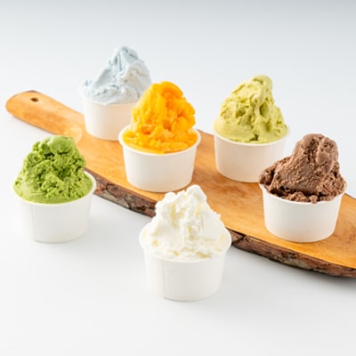 福岡県産 農家が作る本格ジェラート　　12種類おまかせセレクション【配送不可地域：離島】